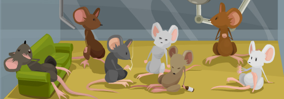 mice on drugs